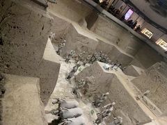 -秦始皇帝陵博物院(兵马俑)