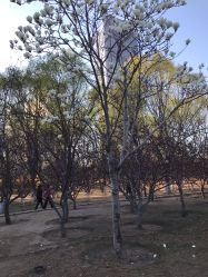 -大望京儿童游乐场