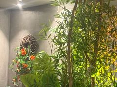 -施奈儿.洗头頭療.按摩SPA.采耳(上梅林店)