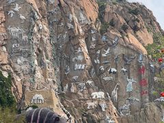 -西霞口神雕山野生动物世界