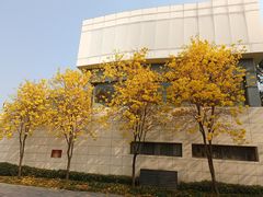 -光明港公园