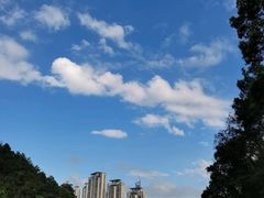-桃花岭景区
