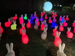 -森波拉火山温泉