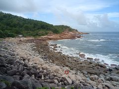 -广东惠东海龟国家级自然保护区