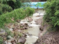 -广州白江湖森林公园