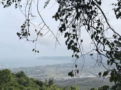 -三亚亚龙湾人间天堂鸟巢度假村