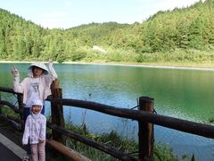-武陵山森林公园