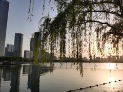 -天鹅湖体育公园