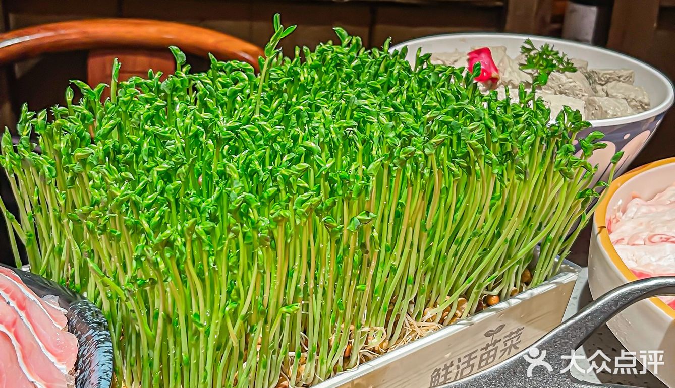 听说杭州人都爱来这里吃火锅