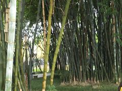 -望江楼公园