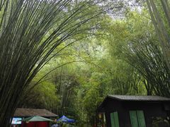 -英西峰林·洞天仙境