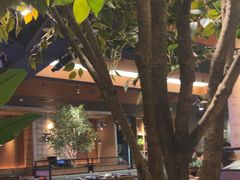 -同仁四季椰子鸡(海岸城天利店)