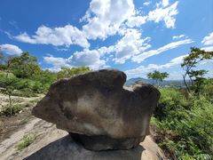 -白水寺森林公园