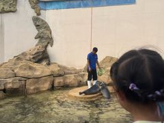 -秦皇岛乐岛海洋王国