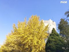 -辽宁大学(崇山校区)