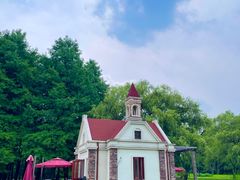 -上海共青森林公园