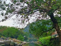 -鹿亭中村