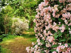 -国家植物园南园