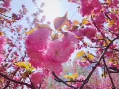 -西北湖绿化广场