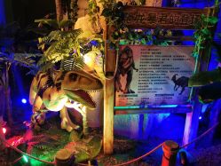 点击看大图 -恐龙探索乐园(磁器口店)