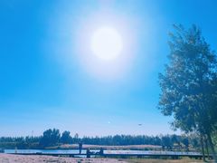 -东郊湿地公园