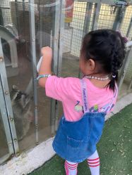 -萌宠亲子动物乐园(槐房万达店)