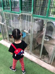 -萌宠亲子动物乐园(槐房万达店)