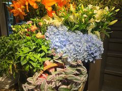 -春暖花开(西溪店)