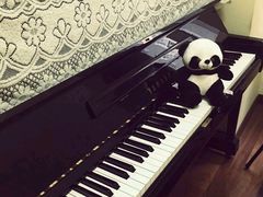 -梅纳·钢琴声乐架子鼓Mena Music(双井店)