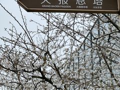 -大报恩寺遗址景区