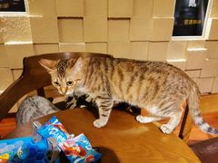 -H立方实景剧情密室(天河旗舰店)