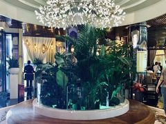 -润园四季椰子鸡火锅(海上世界店)