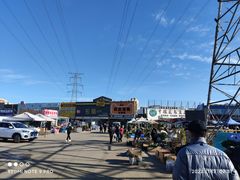 -中环花鸟鱼虫市场