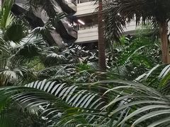 -黑龙江中医药大学附属第一医院