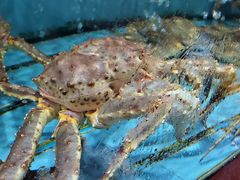 -青石桥市场北1-27号