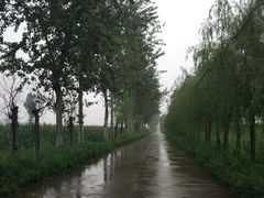 -活死人墓
