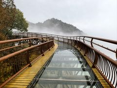 -少华山国家森林公园