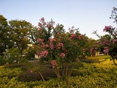 -南京财经大学(仙林校区)