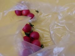 -PAGODA百果园(深圳天琴阁店)