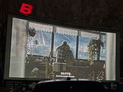 -枫花园汽车电影院(朝阳公园店)