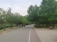-坝河休闲公园