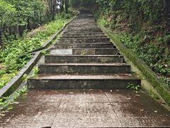 -火炉山森林公园