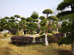 -武汉紫薇都市田园