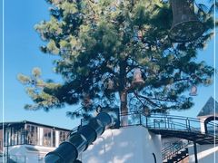 -云禾壹海景庄园餐厅