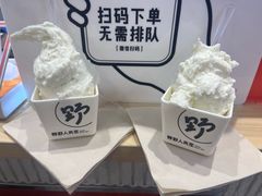 -野人先生现做冰淇淋(西安赛格店)