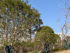 -洋湖国家湿地公园