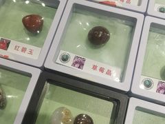 -辽宁古生物博物馆