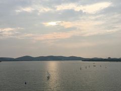 -长广溪湿地公园