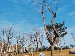 -白石龙音乐公园