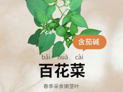 -老崇左特色风味食馆